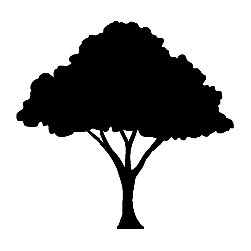 Silhouette of a large, leafy tree with a thick canopy and a sturdy trunk.